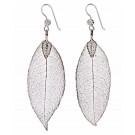 Silver Leaf